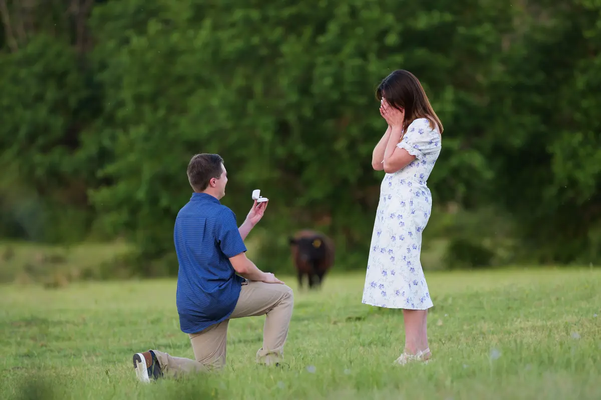 The proposal
